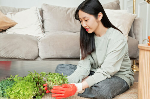 indoor gardening