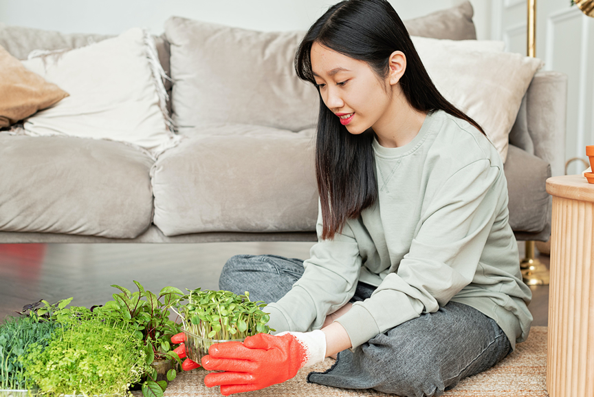 indoor gardening